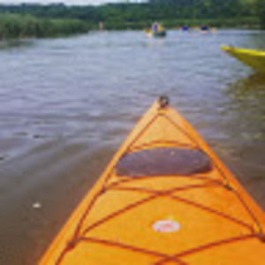 Meet your Posher, Marycarol